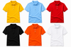 Collar T-shirt Matty Polyester (210 GSM ) T148